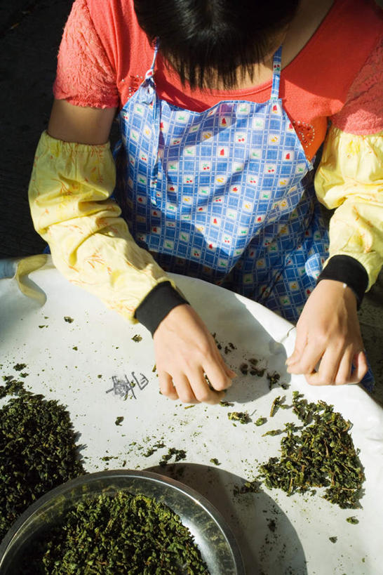 东方人,手,一个人,坐,竖图,俯视,室外,白天,幸福,茶,桌子,叶子,亚洲,仅一个年轻女性,仅一个女性,仅一个人,阴影,服装,光线,盆子,影子,茶叶,注视,休闲装,黄种人,娱乐,衣服,阳光,观察,看,享受,休闲,温馨,手部,休闲服,放松,乐趣,服饰,观看,察看,提神,舒适,挑选,关注,醒脑,年轻女性,女人,女性,亚洲人,叶,叶片,坐着,半身,彩图,高角度拍摄