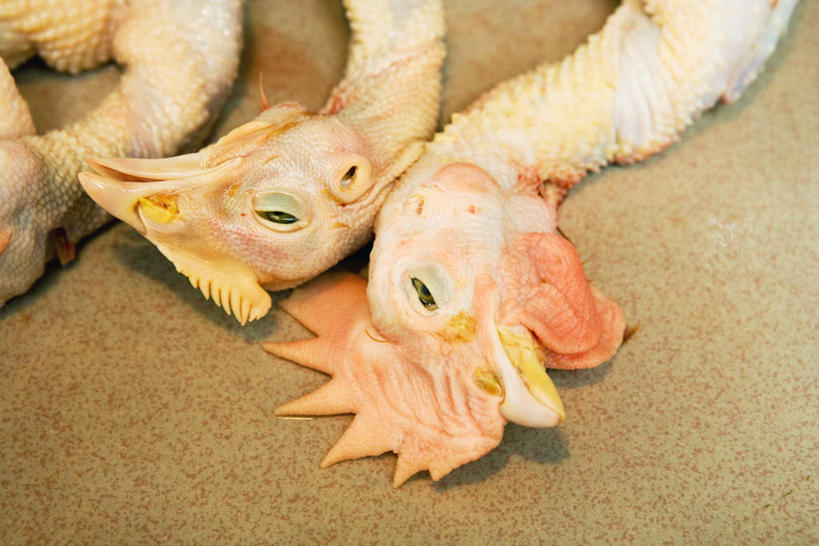 内脏,无人,闭眼,横图,俯视,室内,特写,白天,购物,消费,桌子,鸡,鸡肉,肉,集市,市场,鸡翅,肉类,家禽,三个,动物,金融,牲畜,选购,贸易,肉食,闭眼睛,闭着眼,闭着眼睛,彩图,高角度拍摄