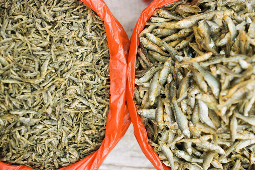 无人,横图,俯视,室外,特写,白天,野生动物,一堆,堆叠,堆积,鱼,地砖,鱼干,食品,地面,食物,两个,动物,容器,活泼,堆,彩图,高角度拍摄