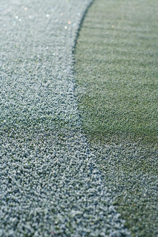 无人,竖图,俯视,室外,特写,白天,草地,草坪,美景,植物,景观,霜,草,绿色,自然,景色,寒冷,冰冷,自然风光,严寒,冰凉,酷寒,凛冽,凛凛,极冷,彩图,高角度拍摄