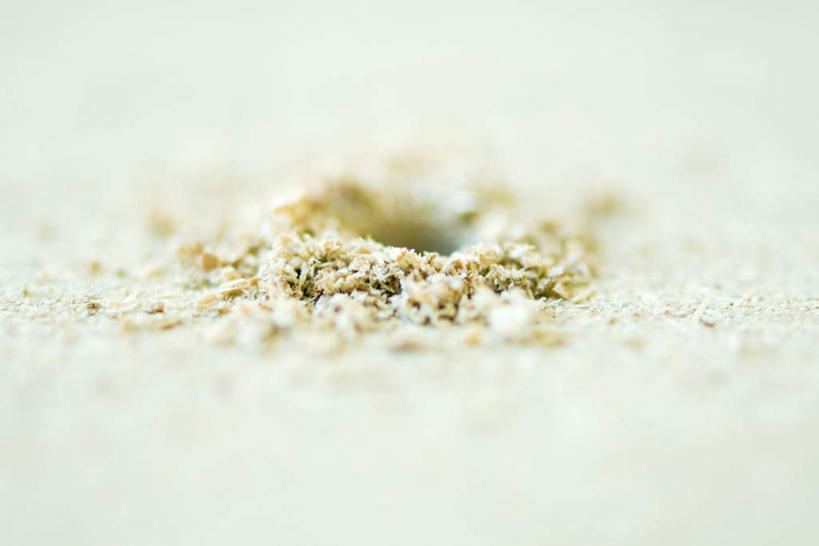 无人,横图,室内,特写,白天,正面,朦胧,模糊,木板,木头,木屑,洞,孔,加工,制造,圆孔,彩图