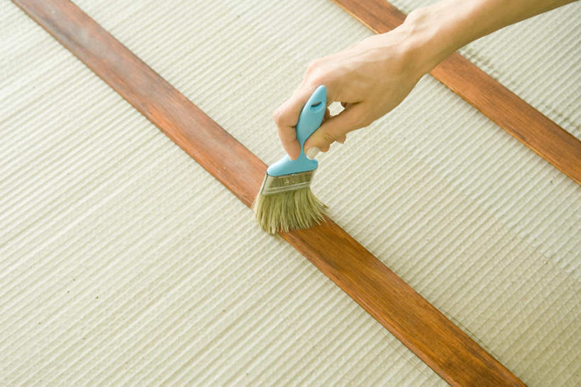 西方人,手,一个人,横图,俯视,室外,特写,白天,装修,欧洲,欧洲人,仅一个年轻女性,仅一个女性,仅一个人,木板,木条,拿,刷,拿着,装潢,刷子,手部,年轻女性,女人,女性,白种人,半身,彩图,高角度拍摄