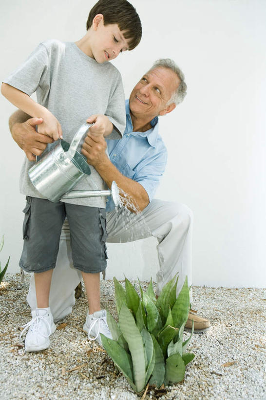 西方人,儿童,两个人,祖父,站,蹲,抱,竖图,室外,白天,白色背景,正面,纯洁,植物,欧洲,欧洲人,倒,瓷砖,地砖,水桶,墙,地面,浇水,墙壁,墙面,小孩,绿色,自然,站着,可爱,童年,童趣,摄影,影棚,爷爷,抱着,祖孙,搂着,童真,烂漫,无邪,外公,外祖父,外孙,外孙子,天真,老年男性,男孩,男人,男性,白种人,孙子,蹲着,搂,站立,彩图,全身,影棚拍摄,拍摄,男生