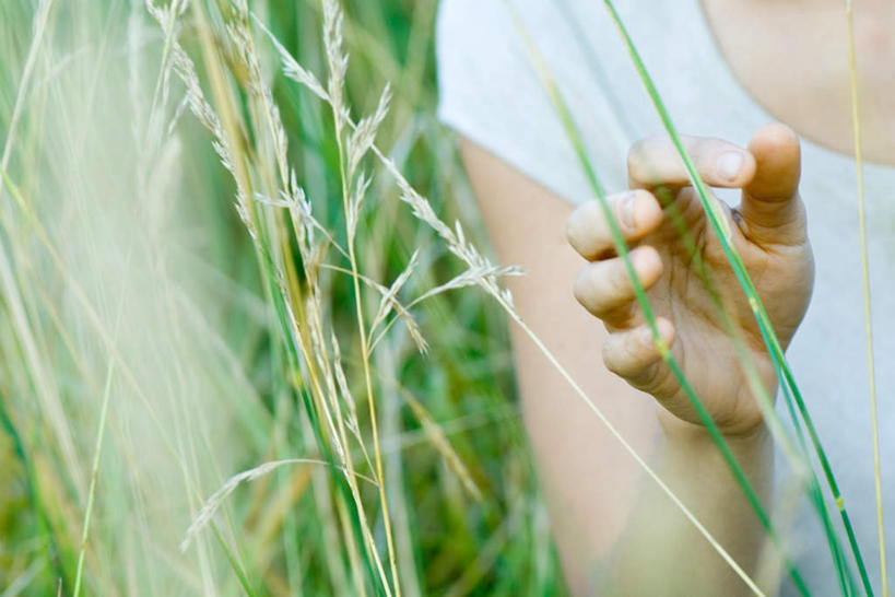 手,摸,横图,室外,白天,正面,草地,草坪,植物,叶子,抚摸,握,阴影,光线,影子,草丛,绿叶,拿,T恤,拿着,草,树叶,绿色,阳光,手部,手指,嫩叶,握着,遮,晴朗,遮挡,碰触,触碰,遮盖,遮蔽,叶,叶片,触摸,接触,半身,彩图