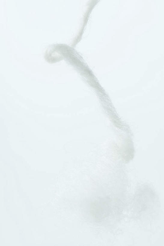 无人,竖图,室内,白天,白色背景,正面,缠绕,棉絮,棉花,扭曲,白色,绳子,摄影,影棚,绳索,纤维,棉线,彩图,影棚拍摄,拍摄