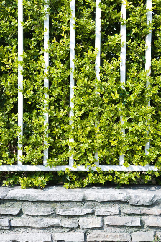 无人,栏杆,竖图,室外,白天,正面,树林,植物,阴影,光线,影子,栅栏,砖,砖块,墙,篱笆,围栏,围墙,绿化,砖墙,护栏,墙壁,墙面,树,树木,绿色,阳光,自然,砖头,生长,成长,彩图