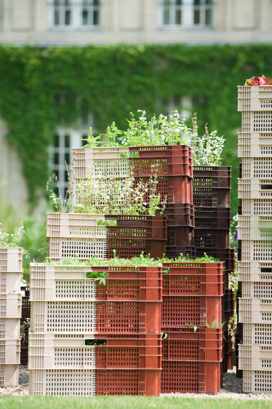 无人,家,竖图,室外,白天,正面,草地,草坪,植物,别墅,窗户,一堆,一排,阴影,堆叠,堆积,整齐,光线,影子,塑料,窗,房屋,墙,屋子,园艺,公寓,常春藤,爬山虎,草药,洋房,楼房,中药,玻璃窗,墙壁,墙面,外墙,住宅,草,花卉,排列,绿色,阳光,自然,塑料制品,箱子,生长,成长,堆,队列,药材,中草药,爬墙虎,包装箱,中药材,本草,板条箱,地锦,趴山虎,巴山虎,彩图,房子,常青藤