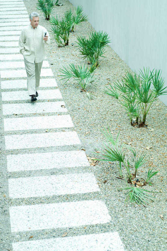 西方人,一个人,站,打电话,竖图,俯视,室外,白天,植物,道路,路,人行横道,公路,电话,手机,欧洲,欧洲人,仅一个男性,仅一个人,许多,敲打,握,交通,拿,拿着,注视,输入,通讯设备,绿色,自然,打字,看,站着,仅一个老年男性,握着,点击,敲击,人行横道线,一部,单手抄兜,单手放兜,交流,按键,老年男性,男人,男性,白种人,斑马线,马路,插兜,沟通,手插兜,手放口袋,通话,站立,彩图,高角度拍摄,全身,手抄兜