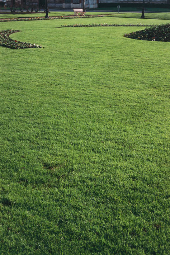 无人,花园,竖图,俯视,室外,白天,旅游,度假,草地,草坪,花圃,美景,植物,路灯,阴影,光线,影子,长椅,墙,景观,围墙,灯光,娱乐,灯,草,绿色,阳光,自然,享受,休闲,景色,放松,照明设备,自然风光,小花园,彩图,高角度拍摄