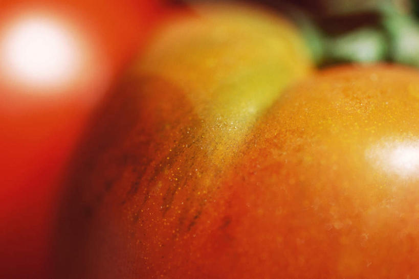 无人,横图,俯视,室外,白天,蔬菜,西红柿,新鲜,食品,食物,两个,红色,有机食品,绿色食品,番茄,彩图,高角度拍摄