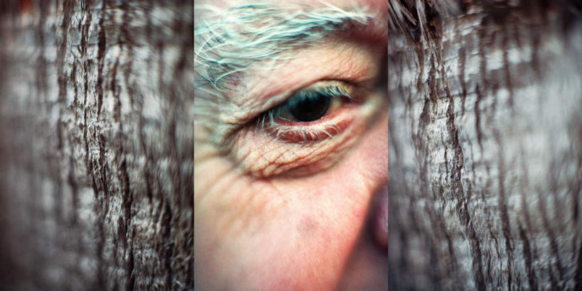 西方人,脸,头,眼睛,脸颊,眉毛,一个人,无人,站,横图,室内,特写,白天,正面,数码,科技,植物,欧洲,欧洲人,仅一个男性,仅一个人,阴影,网络,高光,几何,计算机图形,合成,注视,树,树木,绿色,自然,观察,看,站着,仅一个老年男性,凝视,生长,成长,观看,电脑合成图,数码合成图,察看,结合,关注,写实,具体,具象,联合,拼贴画,老年男性,男人,男性,白种人,头部,脸部,脸蛋,眉,面部,眼眉,站立,半身,彩图,眼眉毛