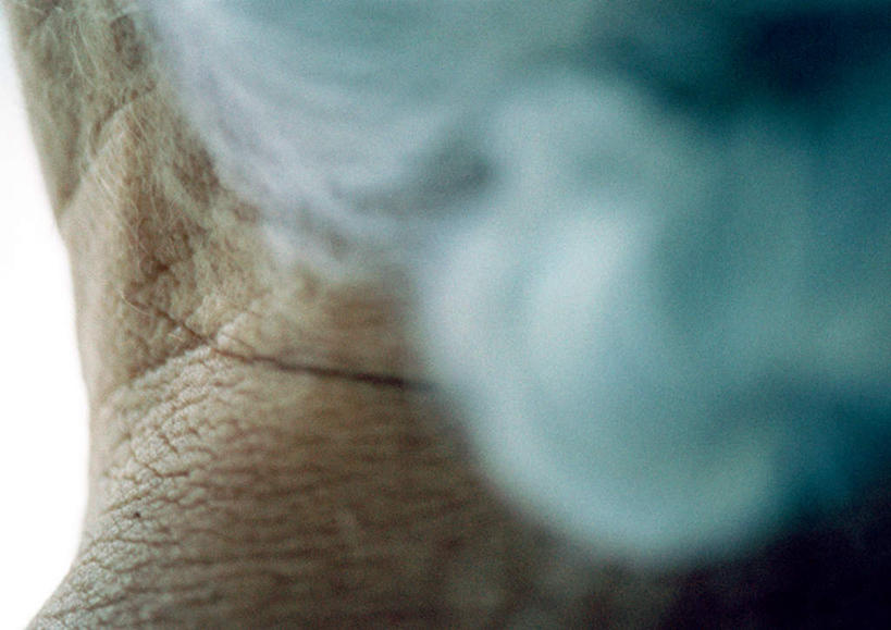 西方人,脖子,头发,一个人,站,横图,室内,白天,欧洲,欧洲人,仅一个女性,仅一个人,背面,白色,站着,仅一个老年女性,盘发,老年女性,女人,女性,白种人,脖,颈,颈部,站立,半身,彩图