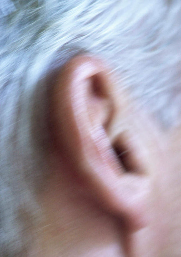 西方人,耳朵,头发,一个人,站,竖图,室内,特写,白天,白色背景,侧面,欧洲,欧洲人,仅一个男性,仅一个人,白色,站着,仅一个老年男性,摄影,影棚,老年男性,男人,男性,白种人,耳,耳部,站立,半身,彩图,影棚拍摄,拍摄