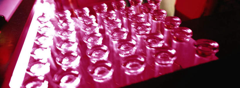 无人,酒吧,横图,俯视,室内,特写,夜晚,桌面,桌子,杯子,一排,许多,朦胧,模糊,整齐,透明,玻璃制品,排列,水杯,队列,玻璃杯,彩图,高角度拍摄,酒吧间,酒馆