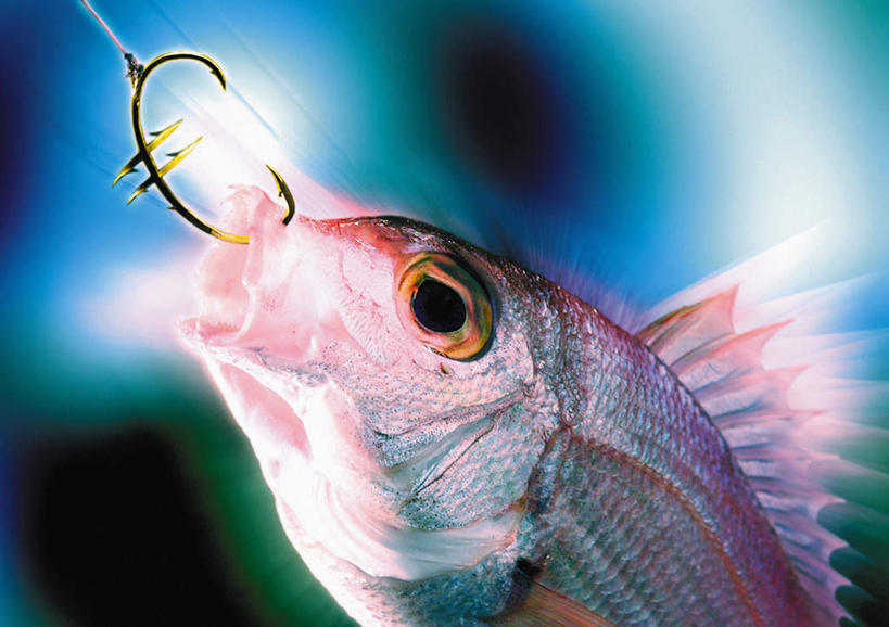 海鲜,无人,横图,室内,特写,白天,正面,阴影,朦胧,模糊,光线,金属,鱼,影子,挂钩,欧元,水产,一个,阳光,金融,经济,单个,海产品,流通,贸易,半身,彩图