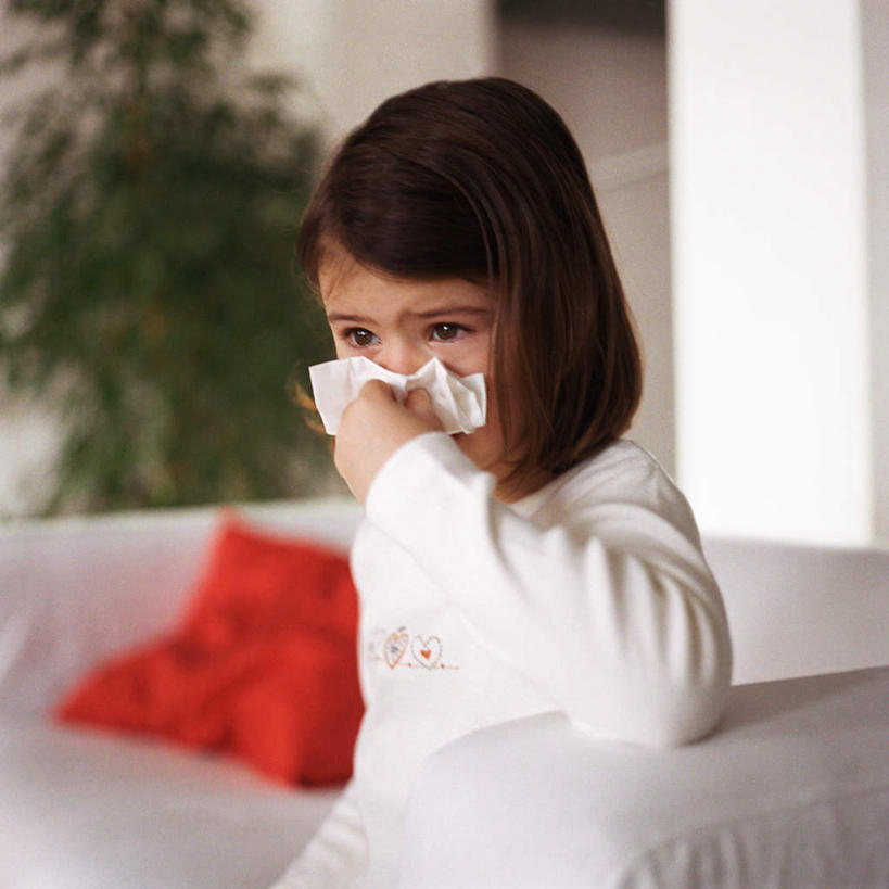 西方人,儿童,鼻子,一个人,客厅,站,方图,室内,特写,白天,正面,纯洁,植物,靠垫,沙发,仅一个女性,仅一个人,朦胧,模糊,盆栽,靠枕,盆景,拿,拿着,注视,小孩,绿色,自然,垫子,枕头,纸巾,观察,看,站着,仅一个小孩,可爱,童年,童趣,生长,成长,观看,察看,起居室,关注,童真,烂漫,无邪,天真,女孩,女人,女性,白种人,孩子,鼻,鼻孔,站立,半身,彩图,女生,皮沙发