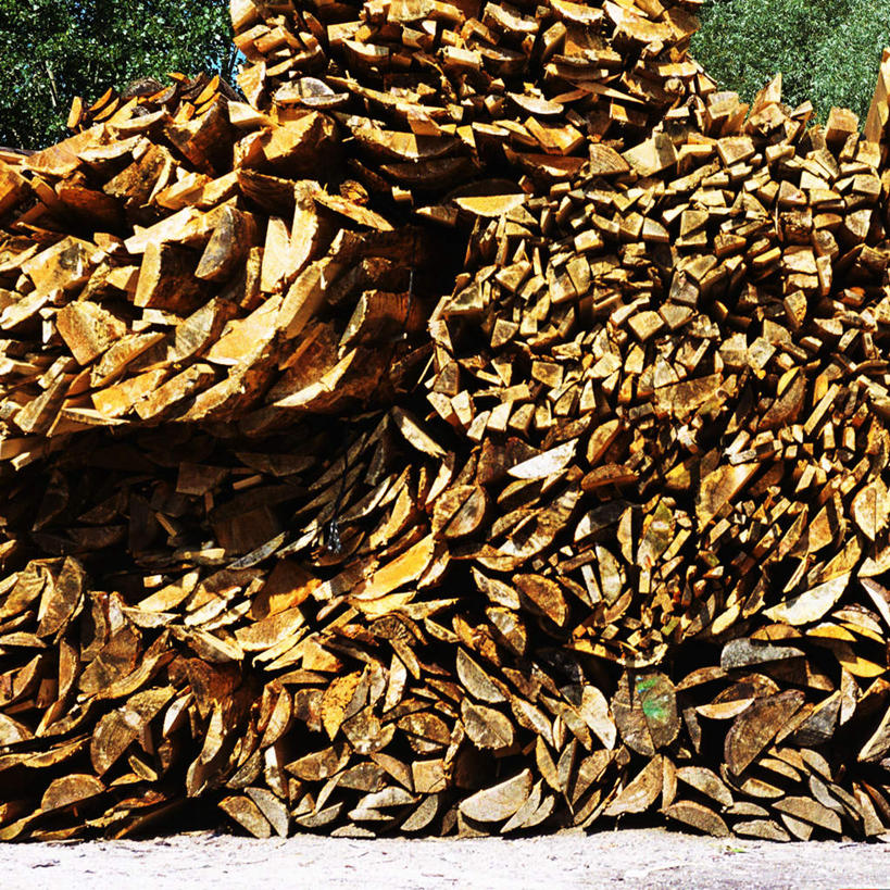 无人,方图,室外,白天,正面,旅游,度假,美景,森林,树林,植物,一堆,阴影,堆叠,堆积,光线,木材,影子,景观,破坏,娱乐,树,树木,绿色,阳光,自然,享受,休闲,景色,放松,生长,成长,堆,砍树,伐木,开发,自然风光,彩图