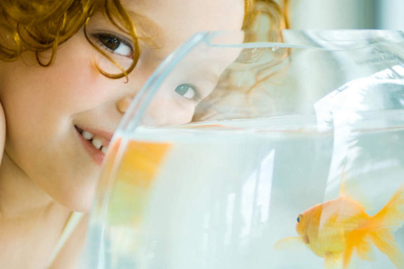 西方人,儿童,一个人,笑,微笑,露齿笑,横图,室外,特写,白天,正面,纯洁,植物,欧洲,欧洲人,仅一个女性,仅一个人,服装,朦胧,模糊,金鱼,鱼,休闲装,鱼类,树,树木,小孩,衣服,蓝色,绿色,蓝天,天空,自然,玻璃缸,天,仅一个小孩,休闲,休闲服,可爱,童年,童趣,服饰,生长,成长,缸,水生动物,水生物,童真,烂漫,无邪,观赏鱼,金鲫鱼,天真,女孩,女人,女性,白种人,孩子,半身,彩图,淡水生物,女生