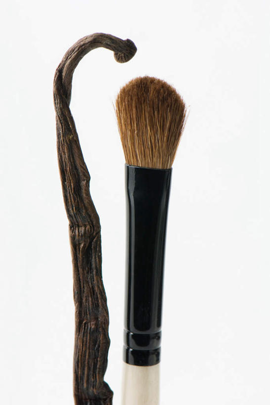 无人,竖图,室内,特写,白天,白色背景,正面,植物,并排,香料,草药,药草,中药,排列,两个,化妆刷,刷子,清热,摄影,影棚,香草荚,南美洲,美容工具,中美洲,队列,药材,中草药,香草兰,彩妆刷,化妆工具,蜜粉刷,中药材,本草,解毒,婆绒花,山薄荷,石母草,彩图,影棚拍摄,拍摄