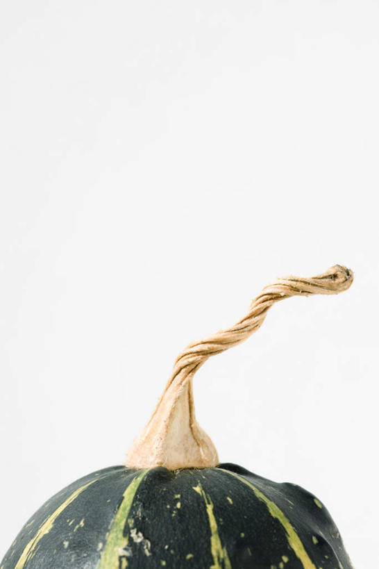 无人,竖图,室内,特写,白天,白色背景,正面,南瓜,蔬菜,印度,新鲜,金瓜,食品,番瓜,食物,一个,健康,摄影,有机食品,绿色食品,影棚,单个,麦瓜,倭瓜,彩图,影棚拍摄,拍摄