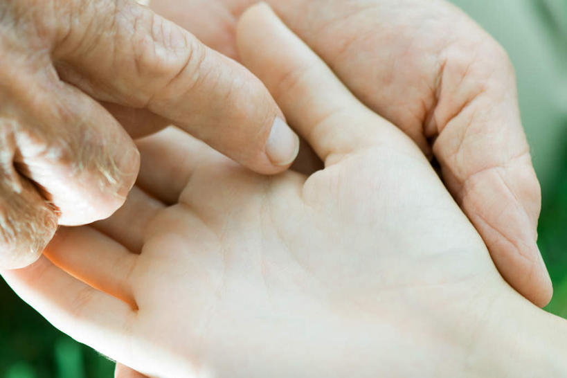 西方人,儿童,手,两个人,祖父,举,说,横图,室内,特写,白天,正面,叶子,欧洲,欧洲人,双手,指,绿叶,摊开,小孩,托,温暖,温馨,手部,嫩叶,爷爷,单手,教导,指着,关爱,外公,外祖父,外孙,告诫,交流,老年男性,男孩,男人,男性,白种人,孙子,叶,叶片,沟通,讲话,交谈,举起,举手,举着,说话,谈话,向上举,向上伸,向上托,半身,彩图,男生