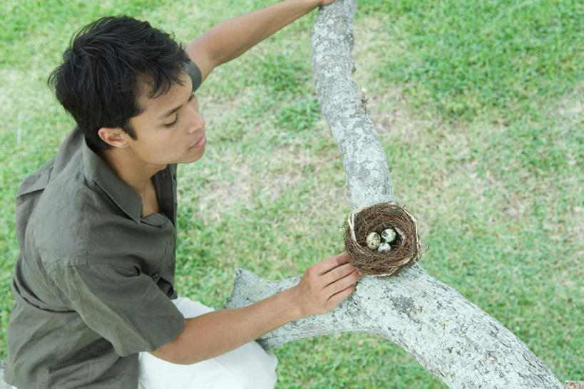 西方人,一个人,蹲,横图,俯视,室外,白天,衬衫,草地,草坪,植物,欧洲,欧洲人,仅一个男性,仅一个人,爱心,鸟巢,注视,草,树干,树枝,仅一个年轻男性,绿色,观察,看,观看,鸟蛋,察看,关注,男人,男性,年轻男性,白种人,蹲着,半身,彩图,高角度拍摄,衬衣