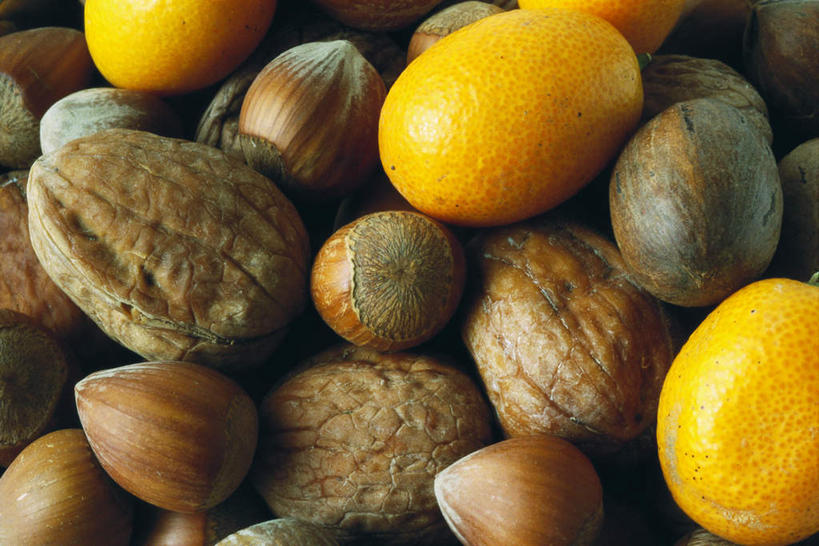 无人,横图,俯视,室内,特写,白天,静物,水果,一堆,许多,阴影,新鲜,光线,影子,灯光,生食,食品,坚果,果实,食物,金橘,有机食品,绿色食品,堆,金柑,榛子,胡桃,彩图,高角度拍摄