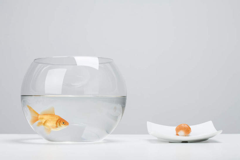 海鲜,米饭,寿司,无人,横图,室内,特写,白天,白色背景,正面,烹饪,水,桌面,桌子,杯子,餐具,一排,阴影,整齐,反射,金鱼,鱼,碟子,盘,液体,影子,日本料理,料理,食品,饭,夹,水产,菜肴,美食,玻璃制品,食物,排列,一个,盘子,水杯,碟,日式料理,日式,佳肴,单个,五谷,捡,队列,海产品,醋饭,四喜饭,玻璃杯,彩图