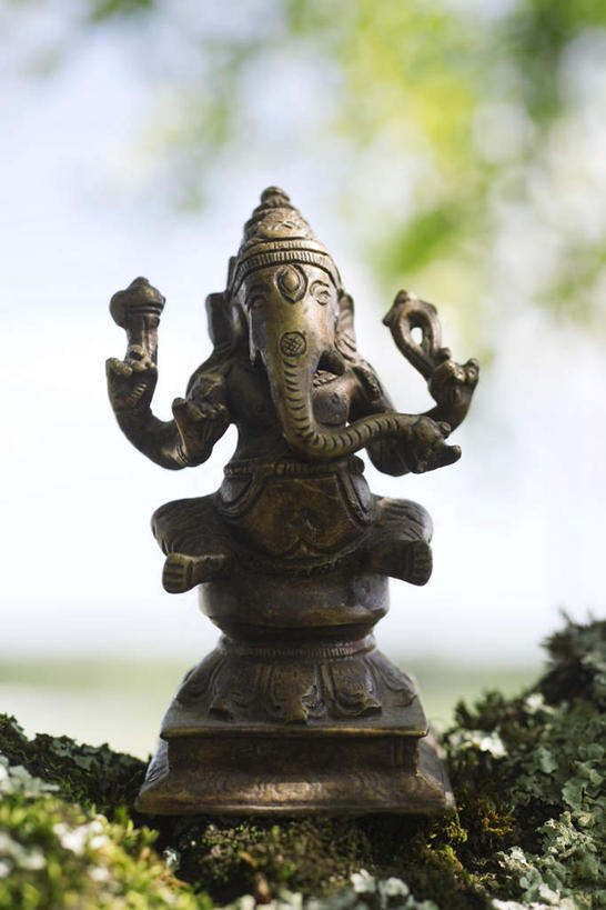 无人,竖图,室外,白天,正面,草地,草坪,植物,大象,静物,印度,亚洲,节日,朦胧,模糊,神话,雕像,文化,铜像,草,树,树木,一个,绿色,自然,祈祷,健康,许愿,宗教,信仰,生长,单个,成长,纪念,祈求,南亚,印度文化,印度教,印度共和国,象头神,平安,象,彩图