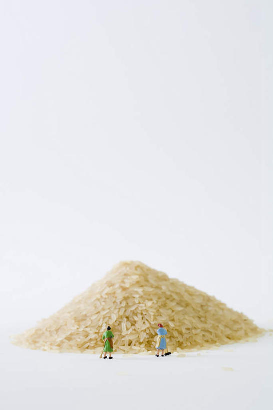 米饭,无人,清洁工,家庭主妇,竖图,室内,白天,白色背景,正面,工作服,制服,山,静物,堆积,劳动,饭,浪费,粮食,两个,摄影,影棚,打扫,五谷,清洁员,保洁员,清洁人员,工作制服,清洁工人,彩图,影棚拍摄,工作套服,拍摄