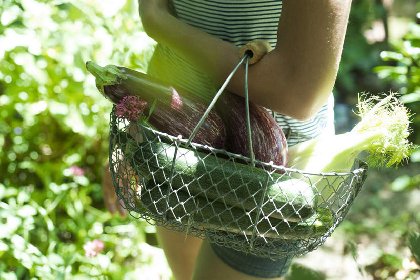 西方人,一个人,公园,菜场,横图,室外,特写,白天,侧面,植物,茄子,蔬菜,欧洲,欧洲人,仅一个年轻女性,仅一个女性,仅一个人,阴影,朦胧,模糊,新鲜,光线,篮子,影子,食品,菜篮,白菜,树,树木,食物,绿色,阳光,自然,夏天,休闲,有机食品,绿色食品,生长,成长,年轻女性,女人,女性,白种人,落苏,酪酥,昆仑瓜,胡瓜,矮瓜,半身,彩图