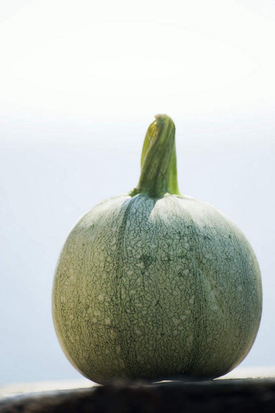 无人,竖图,室外,特写,白天,仰视,桌面,桌子,蔬菜,阴影,新鲜,光线,影子,食品,食物,一个,蓝色,蓝天,天空,阳光,天,放,有机食品,绿色食品,单个,放置,笋瓜,彩图,低角度拍摄