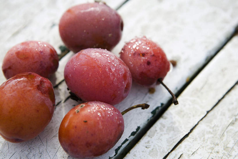 无人,横图,俯视,室外,特写,白天,地板,李子,水果,许多,新鲜,生食,食品,果实,地面,木地板,食物,红色,有机食品,绿色食品,恐龙蛋,布冧,彩图,高角度拍摄