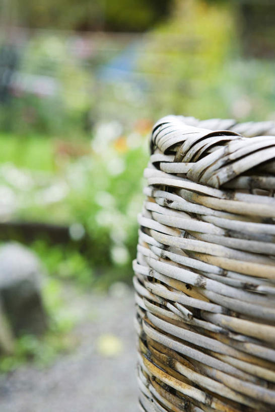 无人,竖图,室外,特写,白天,正面,草地,草坪,石头,植物,许多,阴影,朦胧,模糊,盛开,光线,木制,篮子,石子,影子,地面,花蕾,草,花,花瓣,花朵,鲜花,一个,绿色,阳光,花苞,花蕊,单个,柳条,编制,石块,彩图