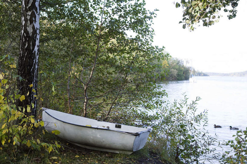 划艇,无人,横图,室外,白天,正面,旅游,度假,湖,湖泊,美景,森林,树林,水,植物,鸟,阴影,光线,鸟类,鸭,影子,湖面,景观,水流,水面,娱乐,家禽,树,树木,一个,蓝色,绿色,蓝天,天空,阳光,自然,动物,湖水,天,两只,享受,休闲,景色,放松,游,牲畜,生长,单个,成长,自然风光,彩图,全身