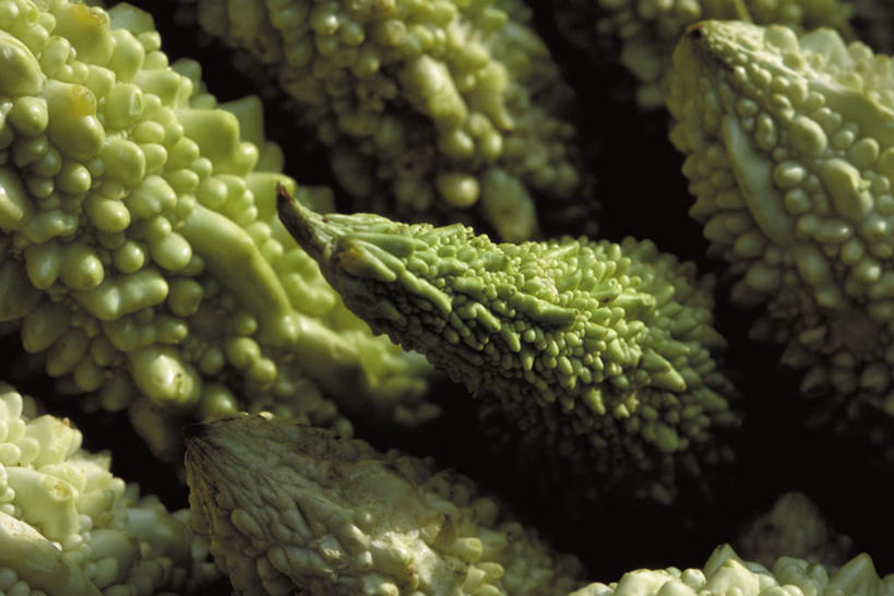 无人,横图,俯视,室外,特写,白天,蔬菜,许多,阴影,花纹,新鲜,光线,影子,苦瓜,食品,食物,绿色,阳光,凉瓜,有机食品,绿色食品,君子菜,癞瓜,癞葡萄,彩图,高角度拍摄