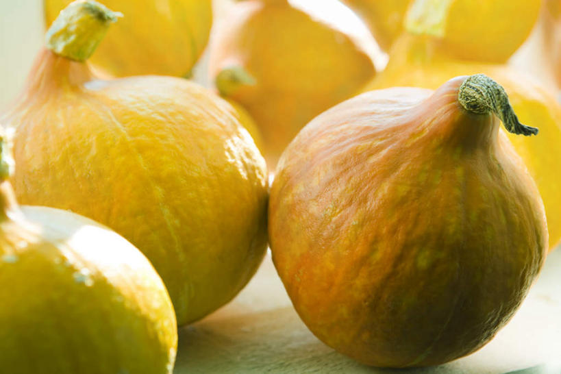 无人,横图,俯视,室外,特写,白天,蔬菜,一堆,许多,阴影,堆叠,堆积,新鲜,光线,影子,食品,食物,黄色,阳光,有机食品,绿色食品,堆,笋瓜,北瓜,大洋瓜,东南瓜,彩图,高角度拍摄