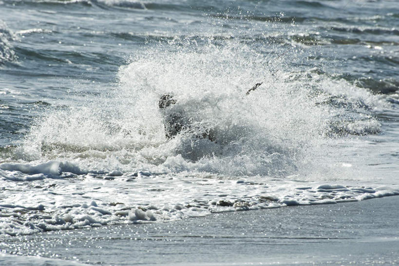 西方人,一个人,站,横图,室外,白天,锻炼,旅游,度假,运动,海浪,海洋,欧洲,欧洲人,仅一个男性,仅一个人,一块,波纹,飞溅,溅,冲浪板,液体,浪花,娱乐,仅一个年轻男性,背面,水纹,海水,波浪,站着,享受,休闲,放松,喷洒,户外运动,海景,体育,男人,男性,年轻男性,白种人,大海,风浪,海,海水的波动,近岸浪,涌浪,站立,彩图,全身,健身