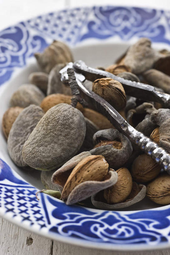 无人,竖图,俯视,室内,白天,白色背景,餐桌,桌子,杏仁,餐具,碟子,工具,盘,钳子,盘子,碟,摄影,影棚,餐台,一盆,五金,核桃钳,胡桃钳,胡桃夹,杏子,杏梅仁,杏核仁,木落子,苦杏仁,彩图,高角度拍摄,影棚拍摄,拍摄