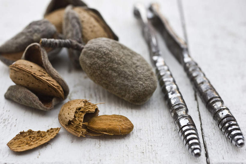 无人,横图,俯视,室内,白天,白色背景,餐桌,桌子,杏仁,许多,朦胧,模糊,散落,工具,钳子,坚果,果壳,一个,摄影,影棚,单个,餐台,五金,核桃钳,胡桃钳,杏子,杏梅仁,杏核仁,木落子,苦杏仁,彩图,高角度拍摄,影棚拍摄,拍摄