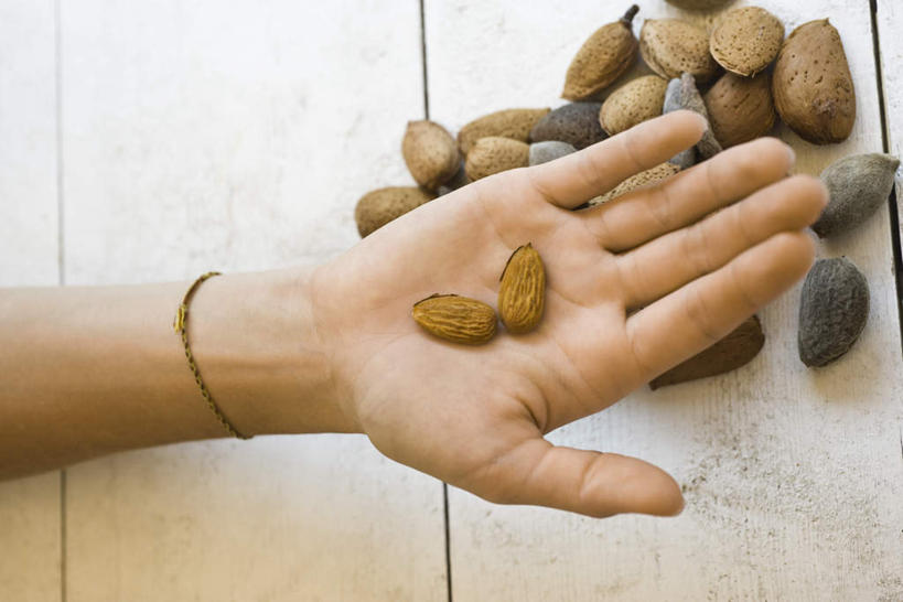 西方人,手,一个人,横图,俯视,室内,白天,餐桌,桌子,杏仁,欧洲,欧洲人,仅一个年轻女性,仅一个女性,仅一个人,一堆,许多,堆叠,堆积,坚果,手部,餐台,堆,年轻女性,女人,女性,白种人,杏子,杏梅仁,杏核仁,木落子,苦杏仁,半身,彩图,高角度拍摄