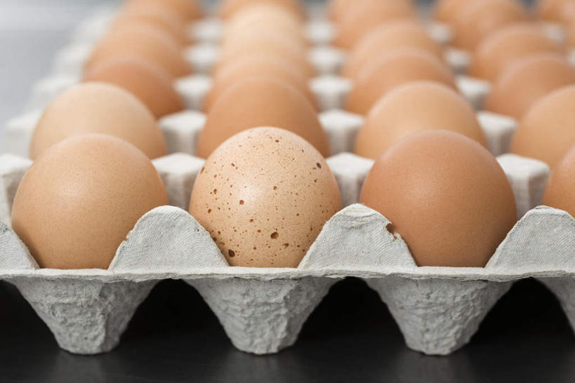 无人,横图,俯视,室内,白天,白色背景,餐桌,桌子,一排,许多,环保,整齐,蛋格,蛋,鸡蛋,排列,摄影,影棚,餐台,回收,资源,队列,利用,低碳,鸡蛋盒,循环,草鸡蛋,鸡蛋格,蛋托,蛋盒,彩图,高角度拍摄,影棚拍摄,拍摄