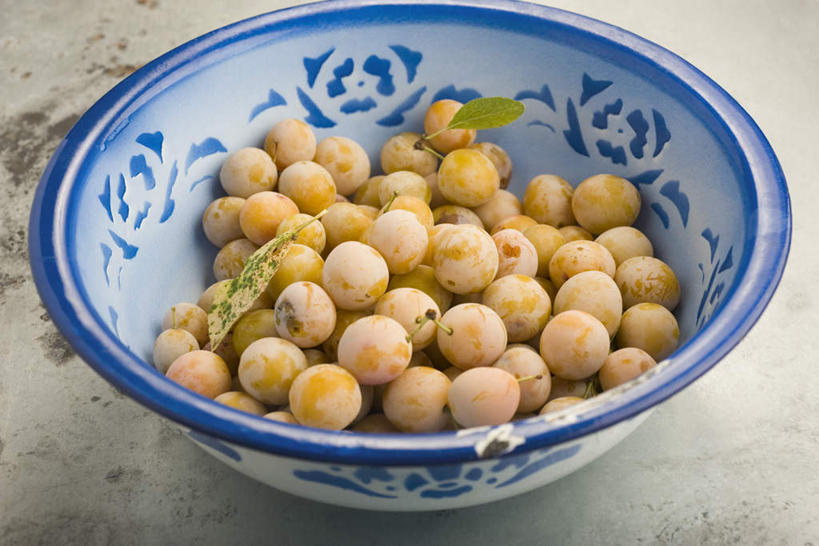 无人,横图,俯视,室内,特写,白天,白色背景,餐桌,桌子,李子,水果,一堆,许多,堆叠,堆积,新鲜,生食,食品,果实,食物,碗,摄影,有机食品,绿色食品,影棚,餐台,堆,恐龙蛋,布冧,彩图,高角度拍摄,影棚拍摄,拍摄