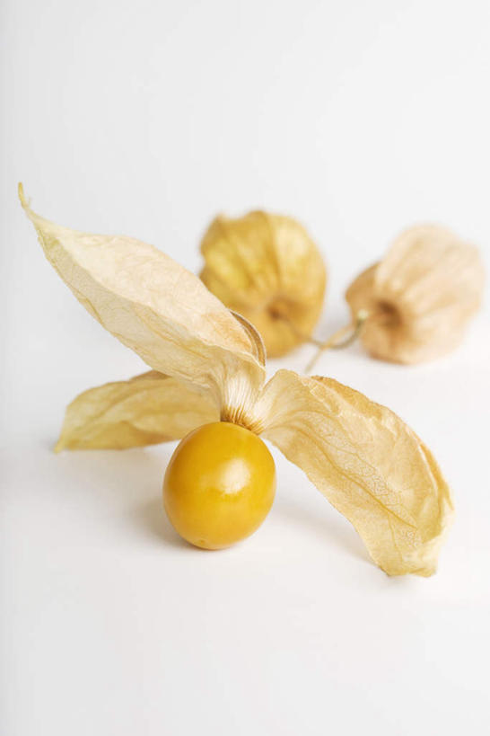 无人,竖图,俯视,室内,特写,白天,白色背景,餐桌,桌子,静物,水果,新鲜,生食,食品,果实,食物,两个,摄影,有机食品,绿色食品,影棚,餐台,灯笼草,沙灯笼,天泡子,水灯笼,打卜草,打额泡,天泡草,王母珠,小酸浆,彩图,高角度拍摄,影棚拍摄,拍摄