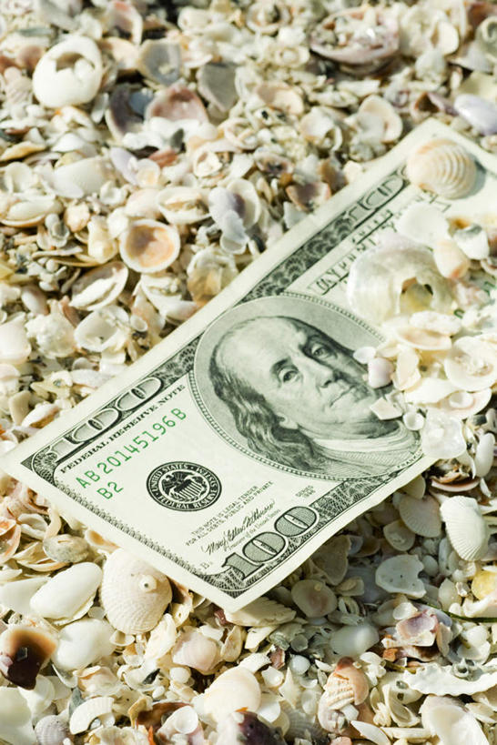 无人,竖图,俯视,室外,特写,白天,钱,美元,沙滩,静物,贝壳,钱币,沙子,海岸,沙地,钞票,金融,纸币,经济,流通,纸钞,贸易,货币,现金,贝类外壳,海螺壳,软体动物外壳,海滩,彩图,高角度拍摄