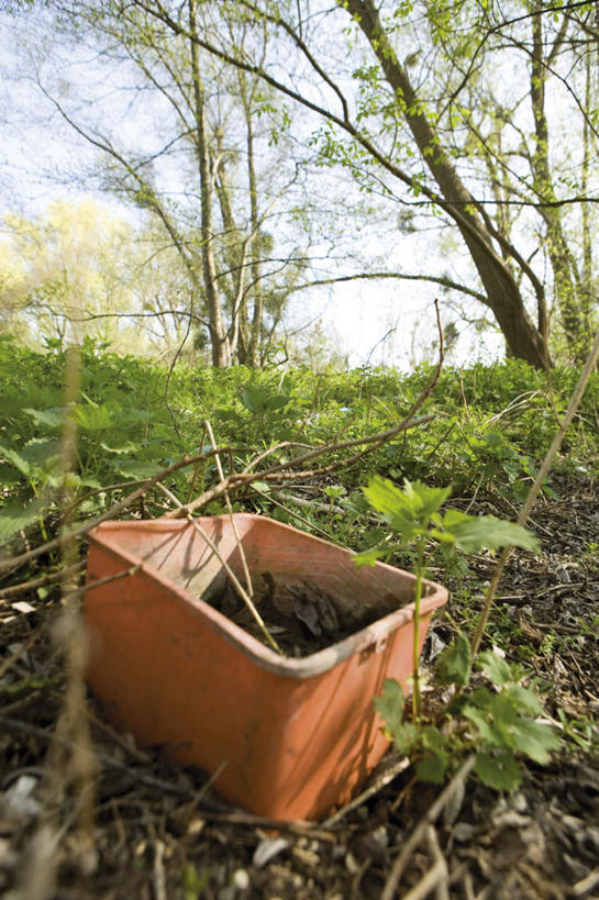 无人,竖图,俯视,室外,白天,草地,树林,植物,环保,垃圾,草,树,树木,蓝色,绿色,蓝天,天空,自然,箱子,天,肮脏,生长,晴朗,成长,环境,回收,资源,脏,利用,低碳,循环,万里无云,晴空,晴空万里,彩图,高角度拍摄