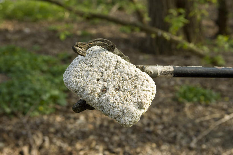 无人,横图,室外,特写,白天,正面,草地,植物,阴影,环保,朦胧,模糊,光线,叉子,影子,泥土,土壤,垃圾,地面,草,绿色,阳光,肮脏,环境,回收,资源,脏,利用,低碳,循环,彩图