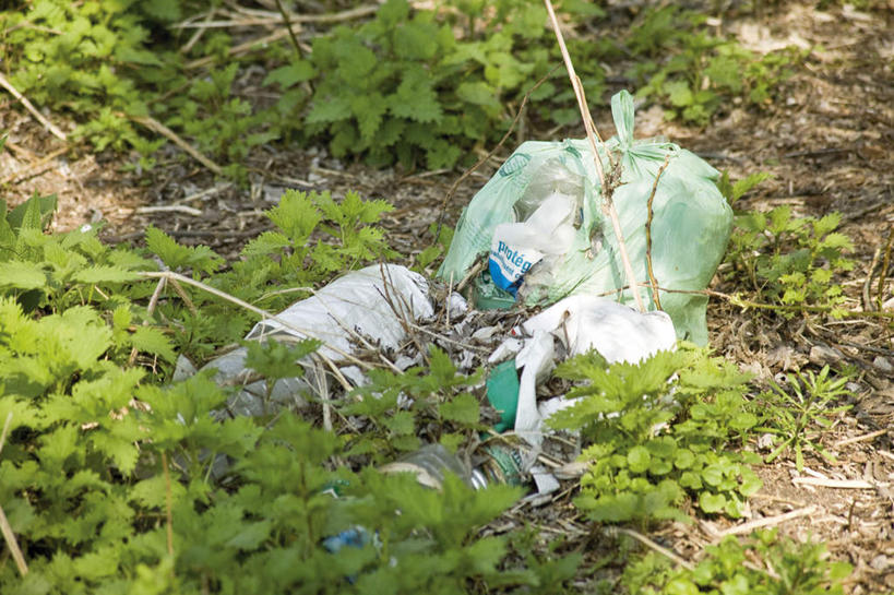 无人,横图,俯视,室外,白天,草地,植物,叶子,阴影,环保,光线,影子,绿叶,垃圾,草,绿色,阳光,嫩叶,肮脏,环境,回收,资源,脏,利用,低碳,循环,叶,叶片,彩图,高角度拍摄