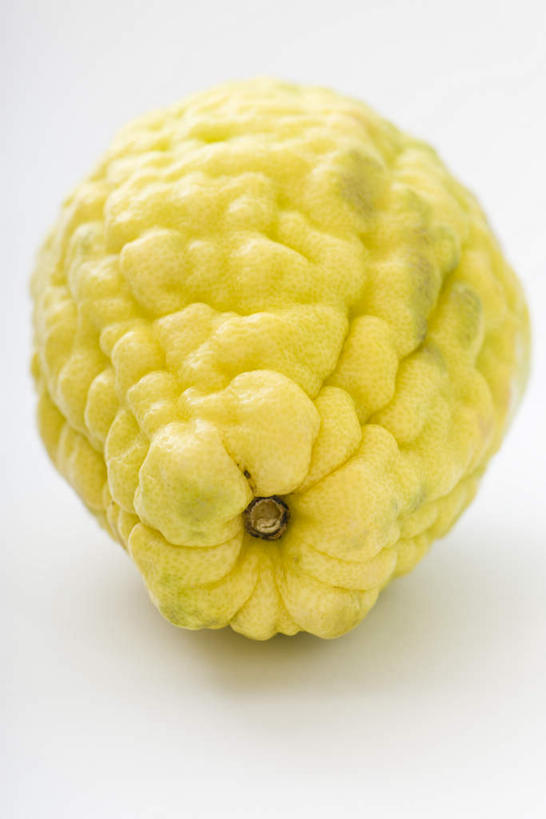 无人,竖图,室内,特写,白天,白色背景,正面,水果,新鲜,生食,食品,果实,食物,一个,黄色,摄影,有机食品,绿色食品,影棚,单个,枸橼子,香橼,拘橼,彩图,影棚拍摄,拍摄