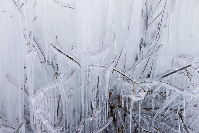 无人,横图,俯视,室外,白天,美景,树林,植物,静物,冰,景观,冬季,冬天,冰柱,树,树木,自然,景色,寒冷,生长,成长,自然风光,严寒,彩图,高角度拍摄